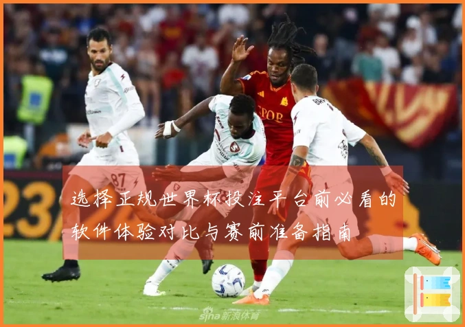 选择正规世界杯投注平台前必看的软件体验对比与赛前准备指南