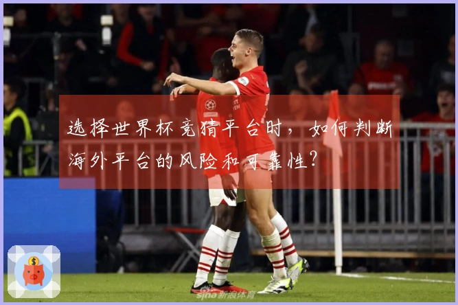 选择世界杯竞猜平台时,如何判断海外平台的风险和可靠性?