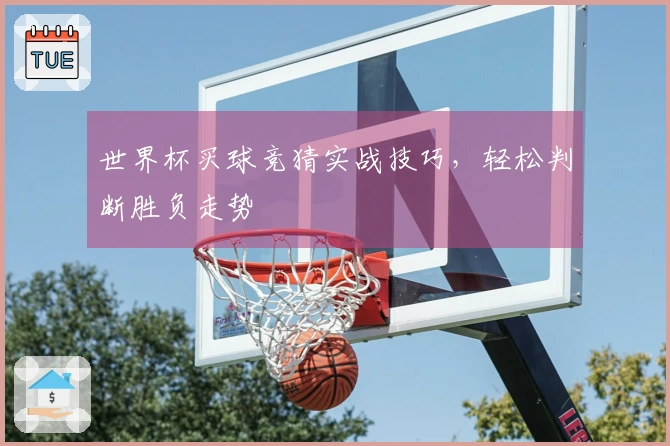 世界杯买球竞猜实战技巧，轻松判断胜负走势
