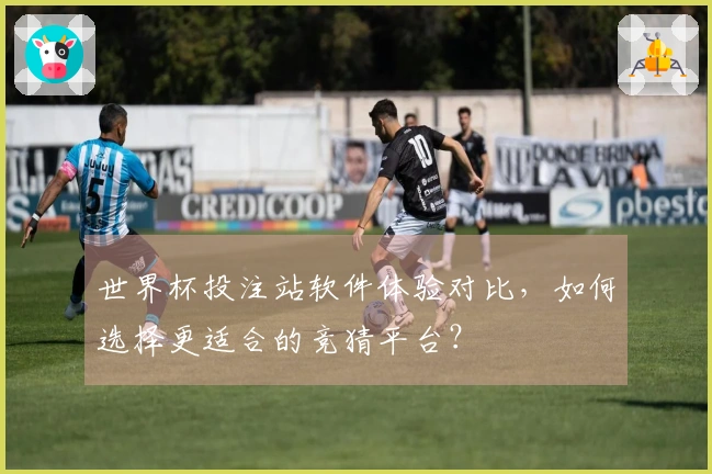 世界杯投注站软件体验对比，如何选择更适合的竞猜平台？